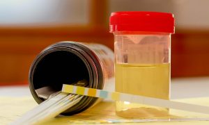 Do Synthetic Urine Kits guarantee passing a drug test?