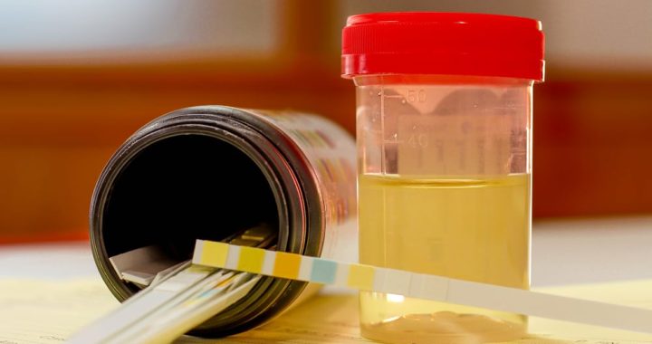 Do Synthetic Urine Kits guarantee passing a drug test?