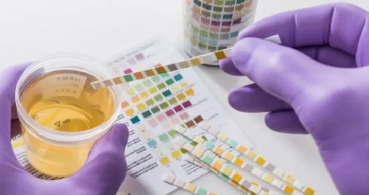 The Path to a Drug-Free Test Result: Tips for a Clear Outcome